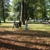 dsc00726 1280 x 852